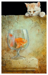 poisson chat.6p.jpg