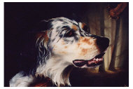2-portrait-Cozette-5f.jpg