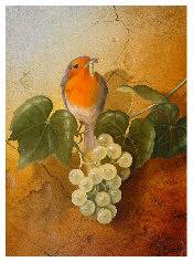 rouge gorge.3f.jpg